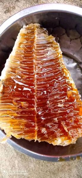 প্রিমিয়াম জট মধু (Pure Jat Madhu) - ৫০০ গ্রাম (Half Kg) | ১০০% প্রাকৃতিক ও হাতে কাটা মধু